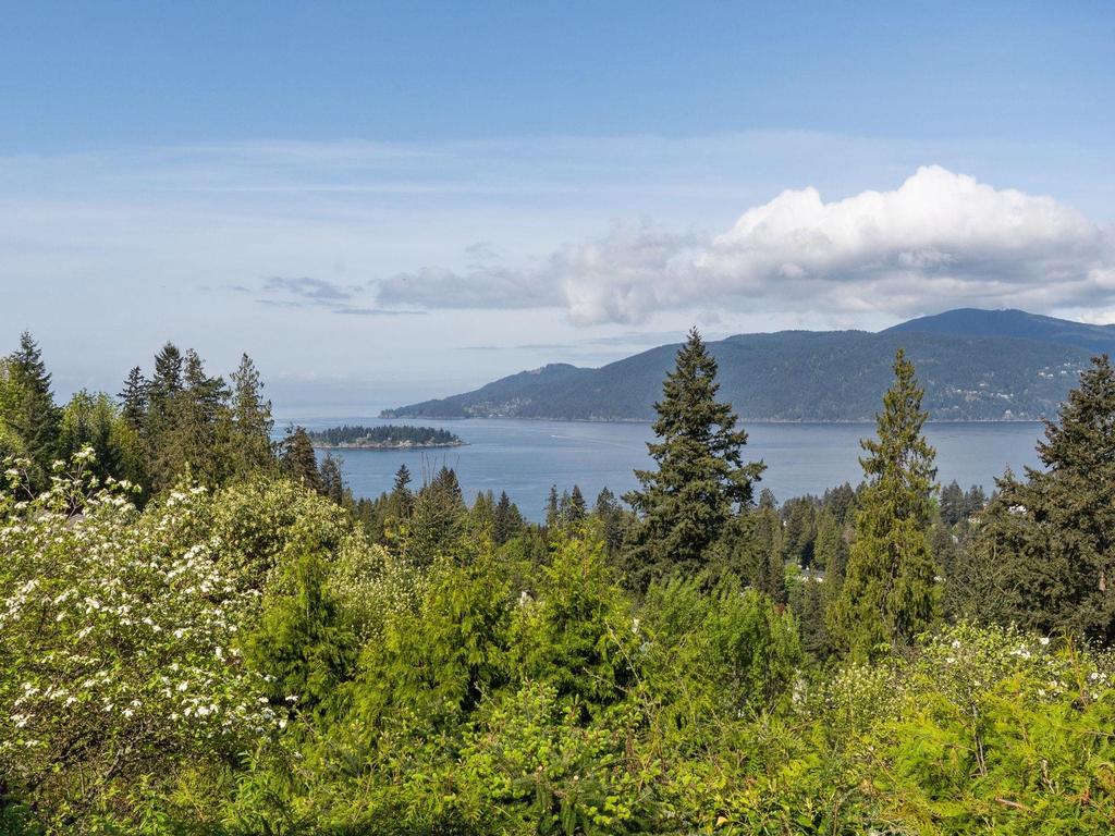 Listing Image for R3137288