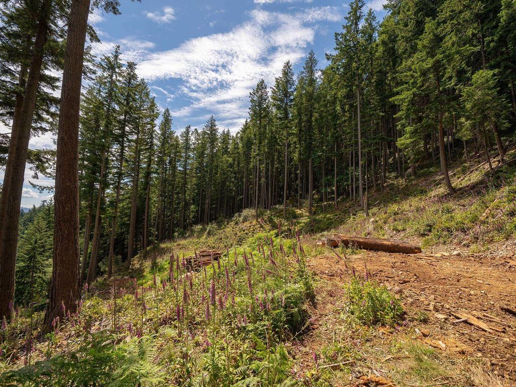 Listing Image for R3137768