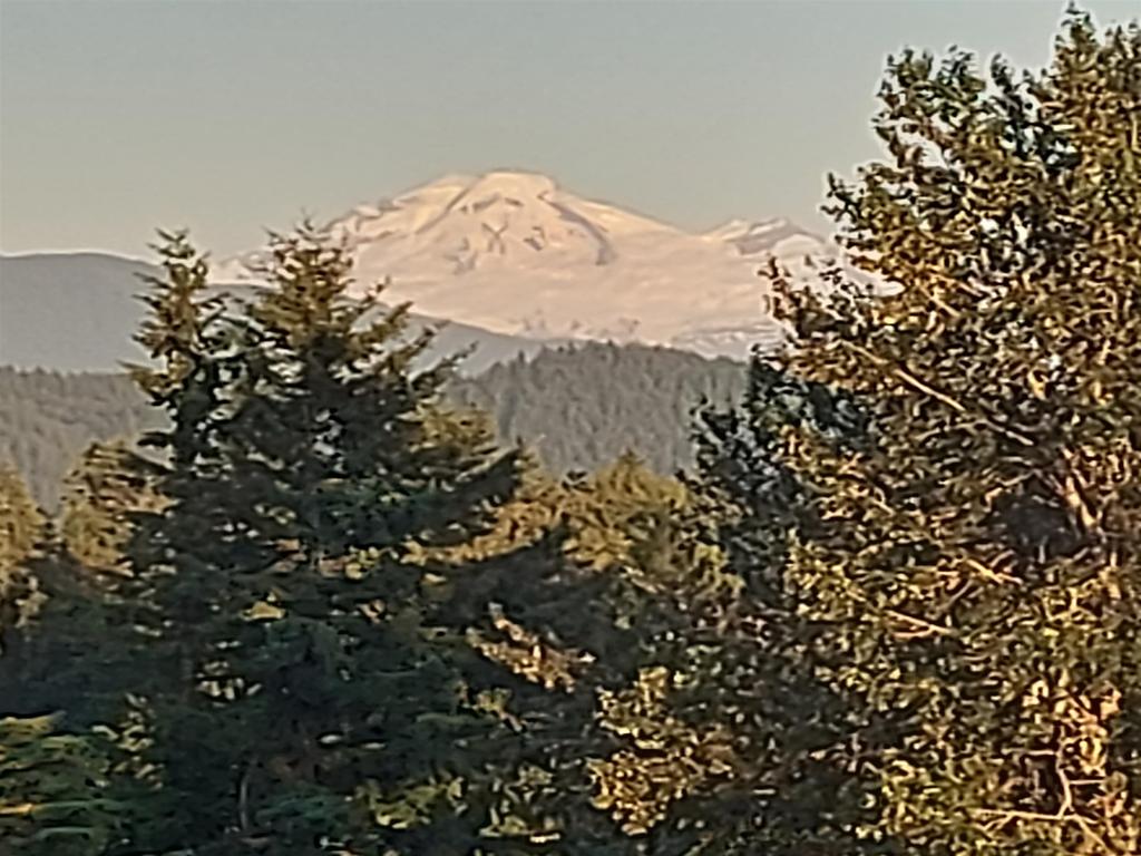Listing Image for R3137782