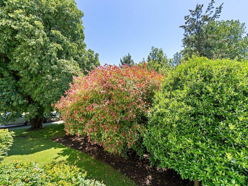 Listing Image for R3138177