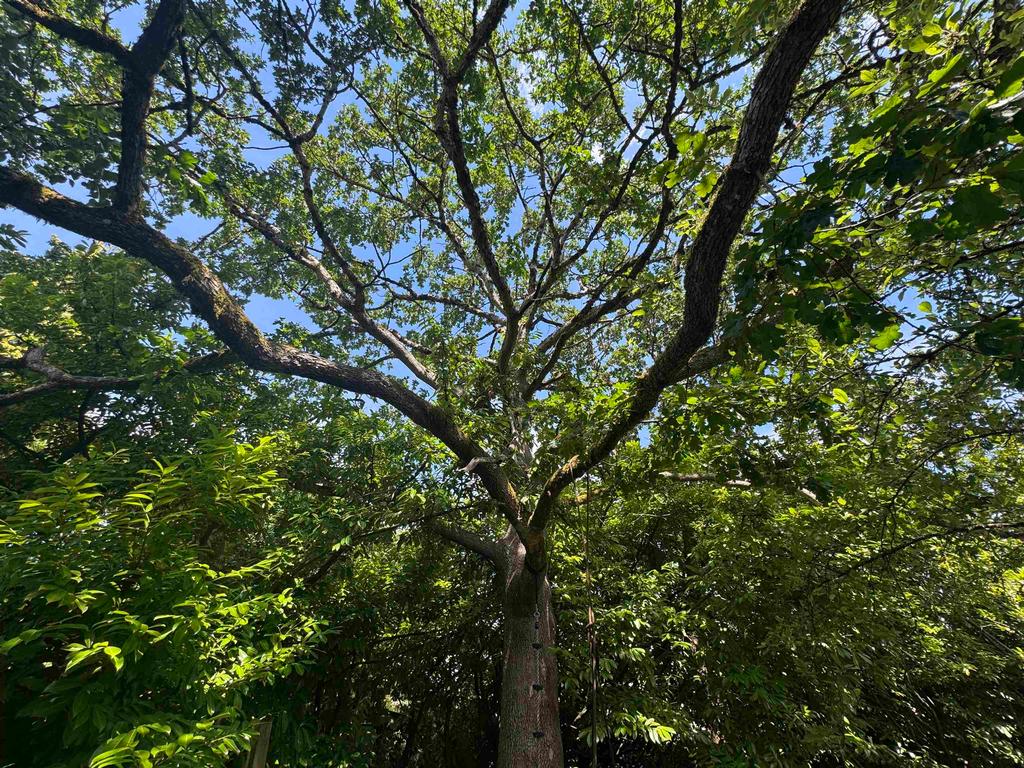 Listing Image for R3139517