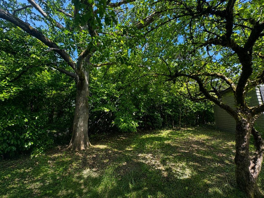 Listing Image for R3139517