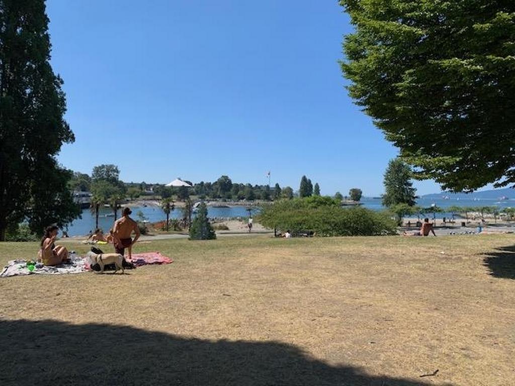 Listing Image for R3139970