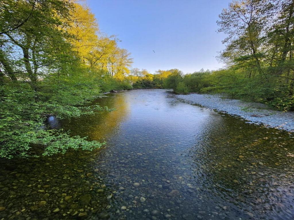 Listing Image for R3140087