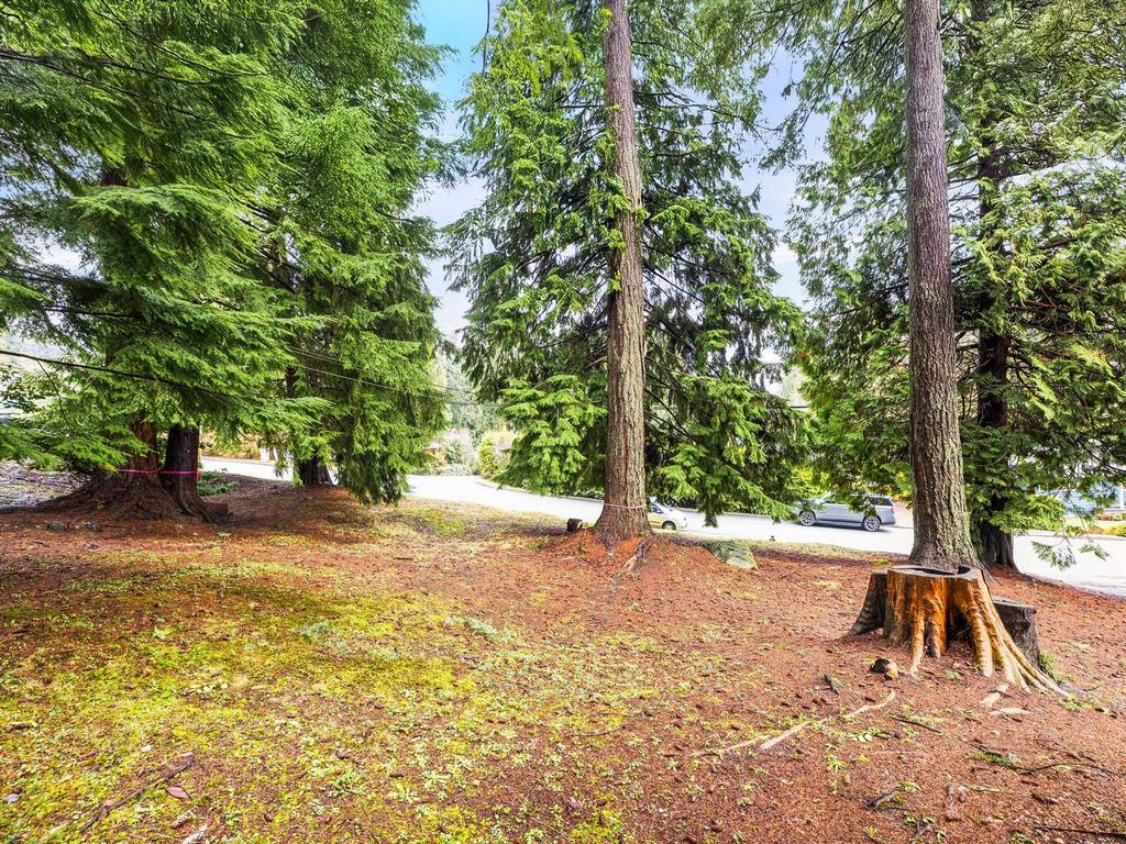 Listing Image for R3143982