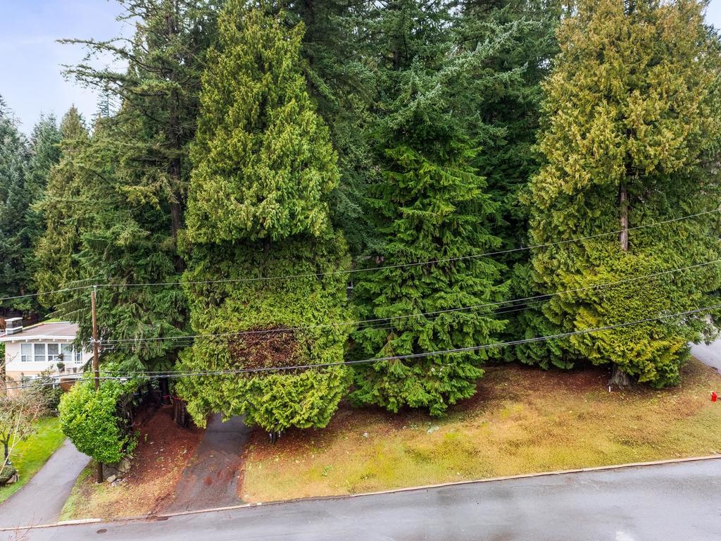 Listing Image for R3143982
