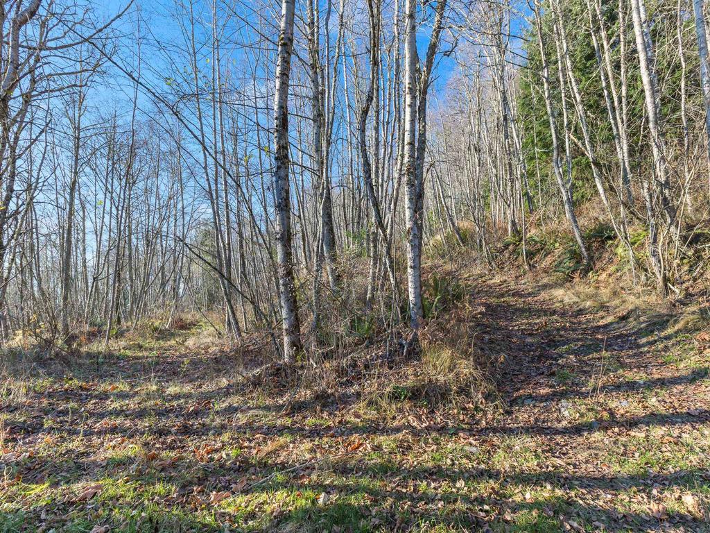 Listing Image for R3144818