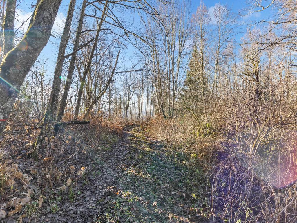 Listing Image for R3144818