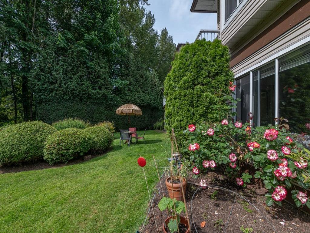 Listing Image for R3145728