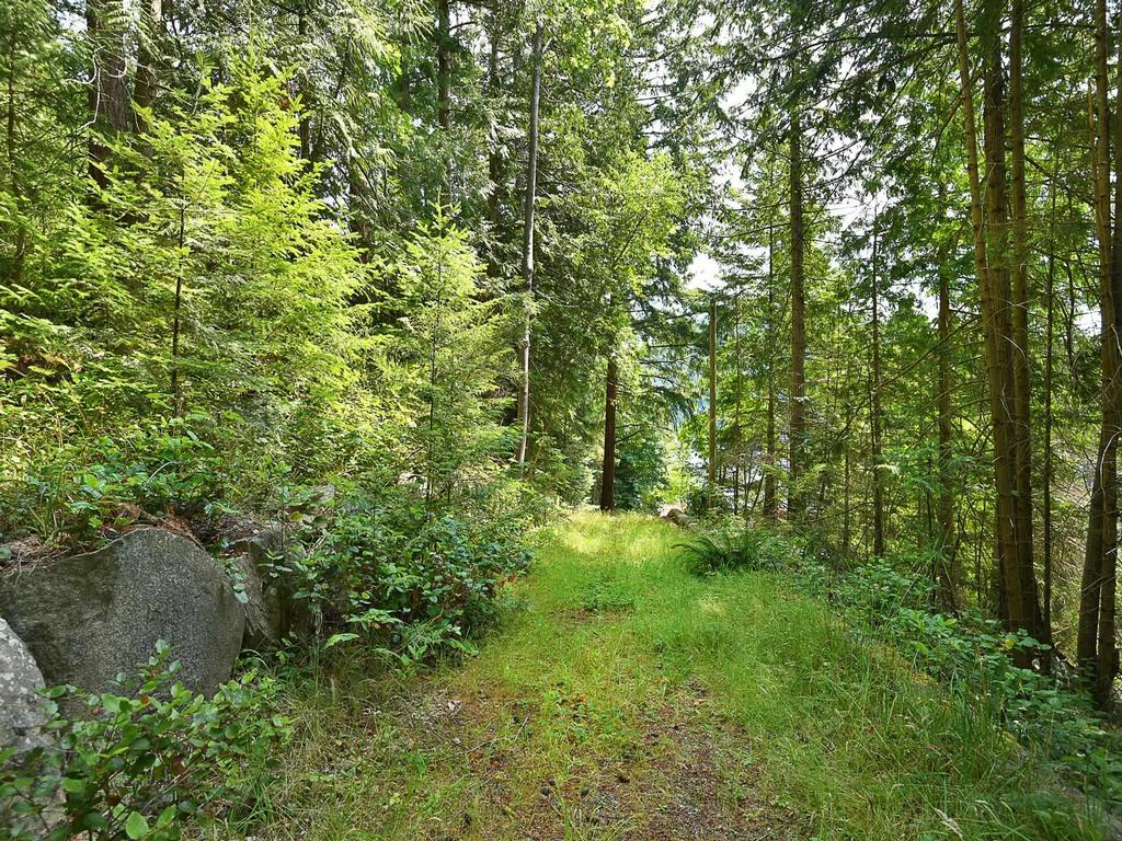 Listing Image for R3147415