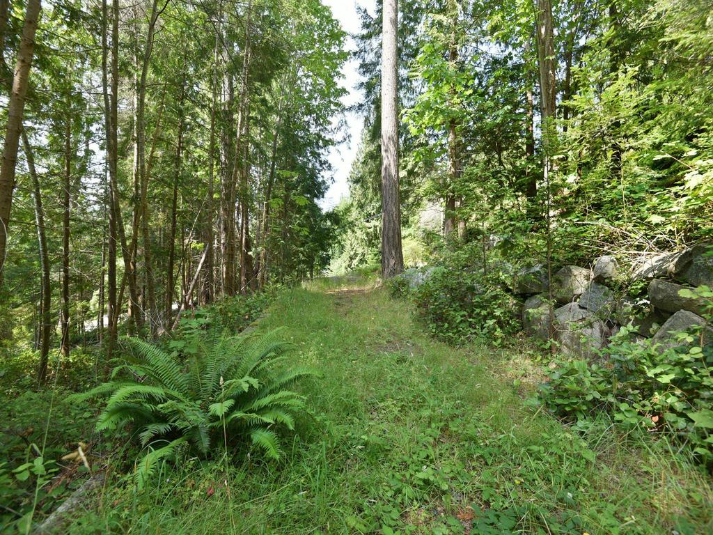 Listing Image for R3147415