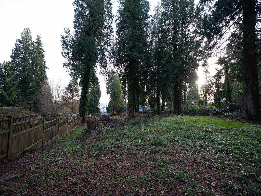 Listing Image for R3152612