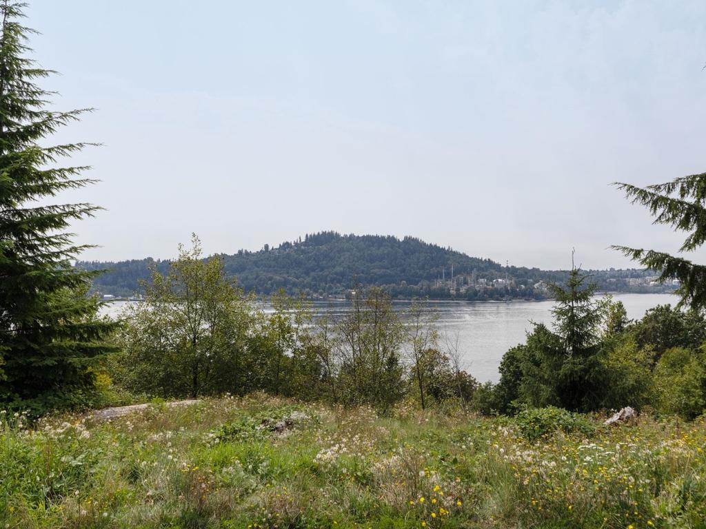 Listing Image for R3156420