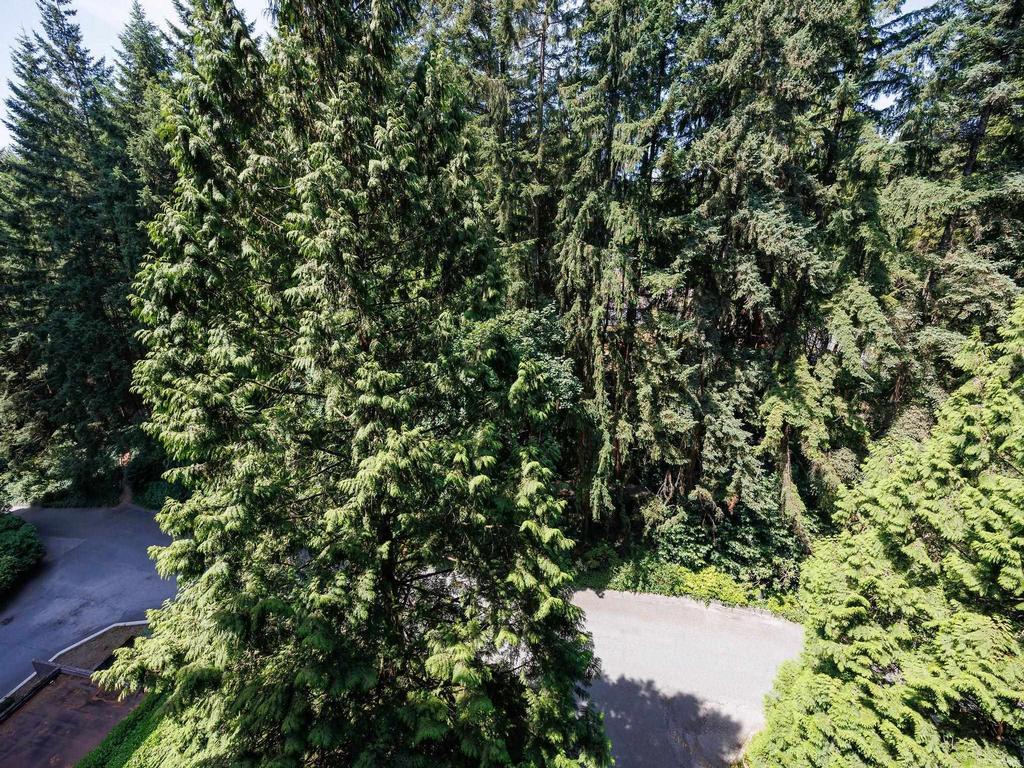 Listing Image for R3156638